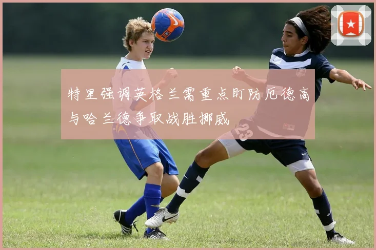 特里强调英格兰需重点盯防厄德高与哈兰德争取战胜挪威