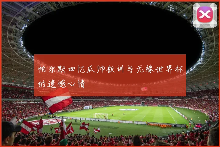 帕尔默回忆瓜帅教训与无缘世界杯的遗憾心情